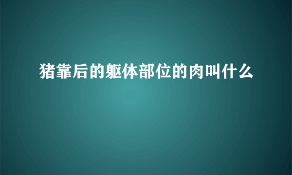 猪靠后的躯体部位的肉叫什么