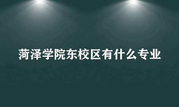 菏泽学院东校区有什么专业