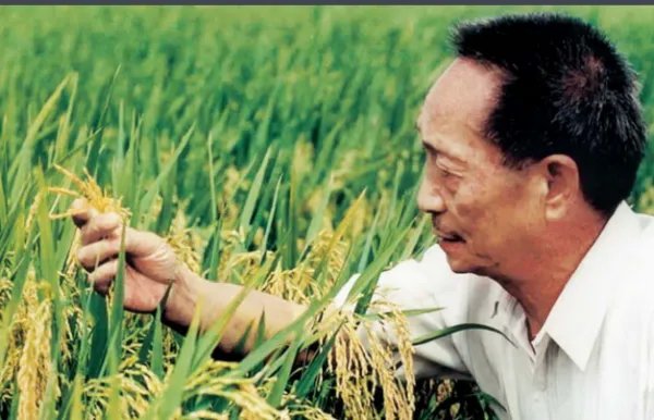 袁隆平是哪里的人啊?